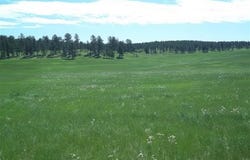 TBD War Bonnet Road, Custer, SD 57730