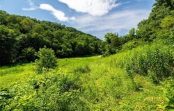W598 Joos Valley Road, Fountain City, WI 54629