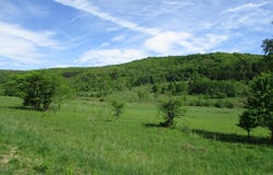 Horse Run Road, Shinglehouse, PA 16748
