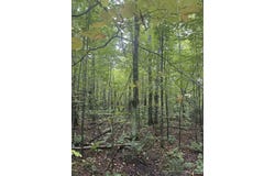 TBD 1-10 Tikka Road, Ontonagon, MI 49953