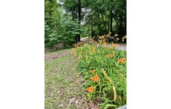 1475 Snow Lake Drive, ASHLAND, MS 38603