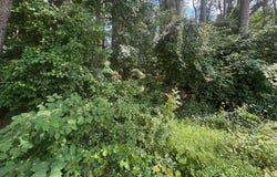 6463 Speights Bridge Road, Stantonsburg, NC 27883