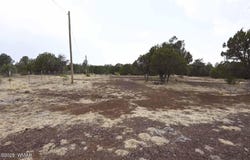 531 Vernon County Road, Vernon, AZ 85940