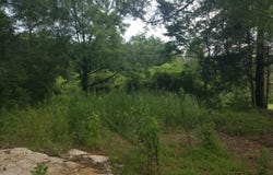 11284 US HIGHWAY, RIVERSIDE, AL 35135