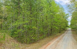 119 Lakefront Drive, Clarksville, VA 23927