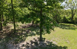 000 Private Road 2532, Mountain View, MO 65548