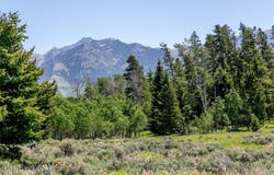 Lot 40 Sun West Ranch, Cameron, MT 59720