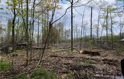 3705 ALEXANDER ROAD, RANDOLPH, OH 44201