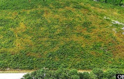 TBD Cove Road, New Hope, NC 27944