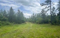 0 Salco Rd., Axis, AL 36505