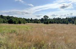 171 Trumbulls Road, Jay, NY 12941