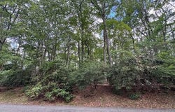 Tbd Dogwood Trail, Hillsville, VA 24343