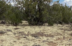 207 ACR 8056 Road, Concho, AZ 85924