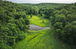 TBD Burley Ridge Rd, Cook Station, MO 65449
