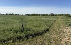 TBD Lot 2 Wild West Place, Belle Fourche, SD 57717