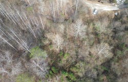 237A Meatscaffold Rd, Jackson, KY 41339