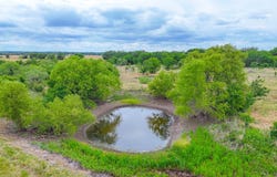 8365 Fm 642, Purdon, TX 76679