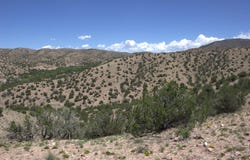 Tres Amigos, Placitas, NM 87043