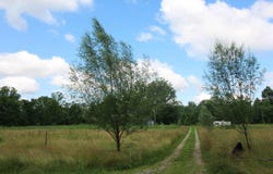 3489 River Camp Road, Spencer, IN 47460