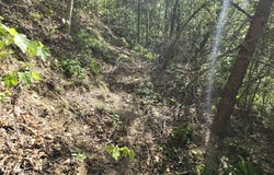 321 Mill Creek Road, Jackson, KY 41339