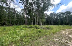 000 An County Road 137 RD, Elkhart, TX 75839