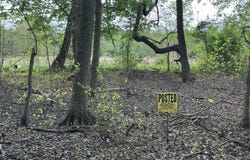 PARCEL 91 COOL SPRING, MARYDEL, MD 21649
