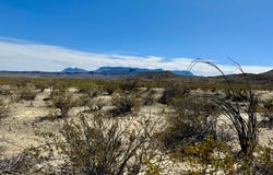 TR 1289 Private Rd, Terlingua, TX 79852
