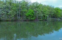 0 Shepard Lane, Lonedell, MO 63060