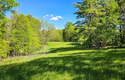 2465 Chestnut Flats Rd, Lewisburg, WV 24901