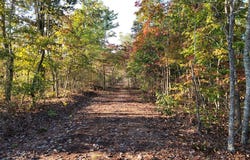109 Dogwood cove, HOLLADAY, TN 38341