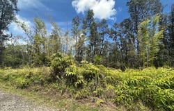 ROAD 5 (UAU), Kurtistown, HI 96760
