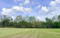 104A Adams Drive, Pangburn, AR 72121