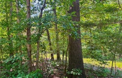 20 +/- Acres Fire Tower Rd., Unincorporated, MO 63383