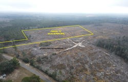 24 acres Goat Hill Rd., Samson, AL 36477