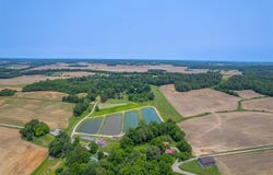 1400 Scotts Bridge Rd, Calhoun, KY 42327