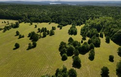 0 Hwy 145, Shelby, AL 35143