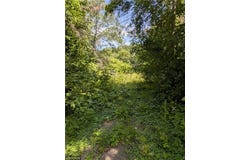 23561 Holly Drive, Long Prairie, MN 56347