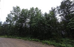 16844 Evergreen Drive, Wolverine, MI 49799