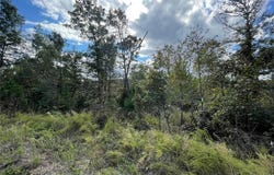 13 Woodland Heights W, Poplar Bluff, MO 63901