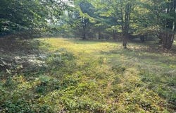 L12 Donlan Heights Road, Broome, NY 12122