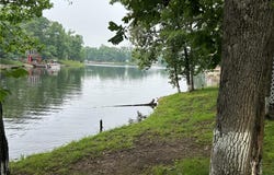 11130 Catatoga Drive, Plainview, IL 62685