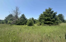 Parcel 4 Bright Road, Maple City, MI 49664