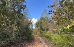 438 Mountain Top Road, New Canton, VA 23123
