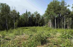 2101 Sibley Court, Ely, MN 55731