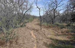 Lot 295 Pinemont Drive, Kingsland, TX 78639