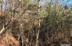 Saturn Way, Topton, NC 28781
