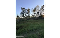 Ga Hwy 251, Darien, GA 31305
