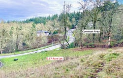 Mountain Ash, Eugene, OR 97405
