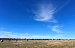 000 Vz County Road 4305, Ben Wheeler, TX 75754
