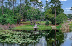 216 LAKE COMO DRIVE, POMONA PARK, FL 32181